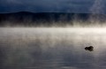 Overland_Track_20090212_825