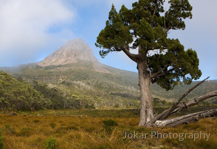 Overland_Track_20090204_209.jpg - Barn Bluff, Overland Track, Tasmania