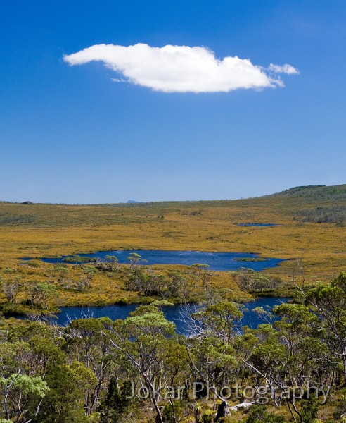 Overland_Track_20090204_243.jpg - Tarns near Lake Wills, Overland Track, Tasmania