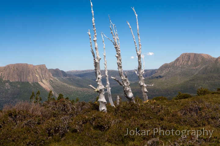 Overland_Track_20090206_440.jpg - View from Mount Doris, Overland Track, Tasmania