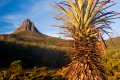 Overland_Track_20090203_158