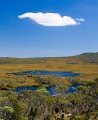 Overland_Track_20090204_243