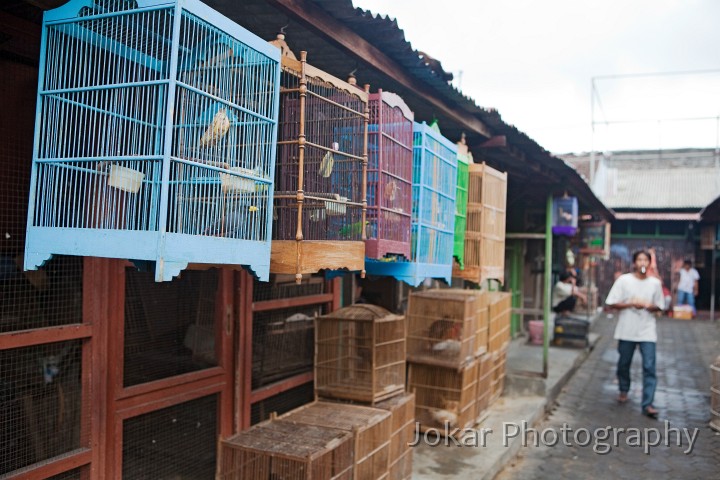 Pasar_Burung_20091122_048.jpg