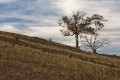 Robs_Ridge_20090324_007