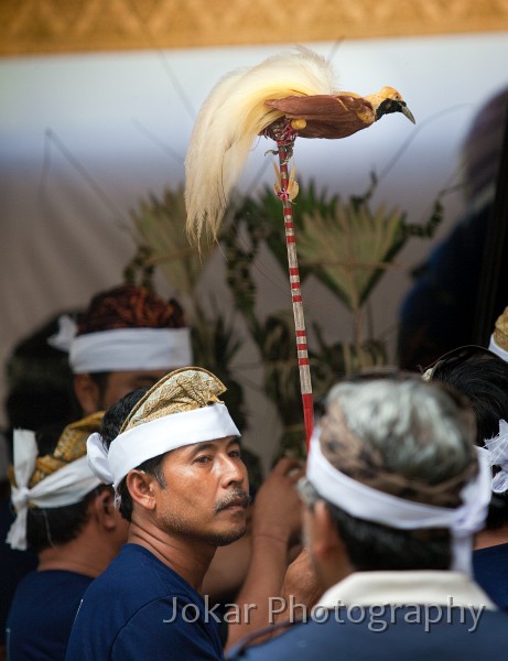 Bangli_cremation_20100829_024.jpg