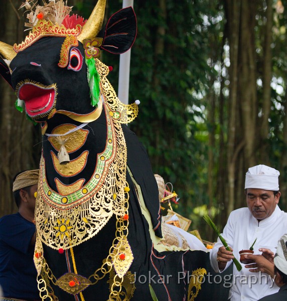 Bangli_cremation_20100829_104.jpg