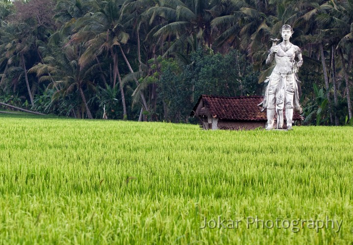 Batuan_20101002_063.jpg