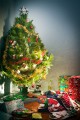 Christmas_Day_20101225_012