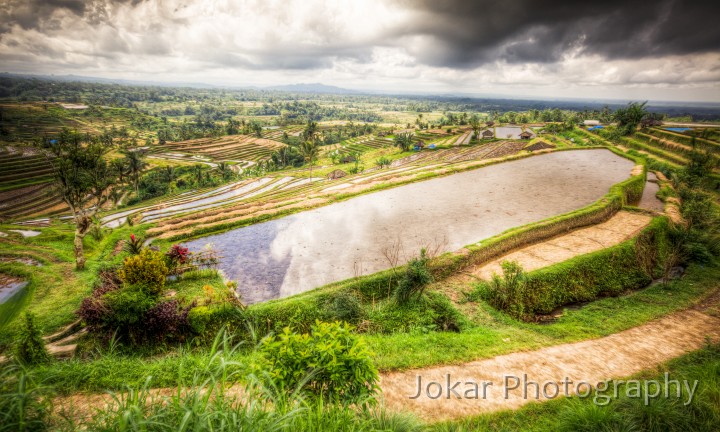 Jati_Luwih_20100619_068_69_70_71_72_tonemapped.jpg