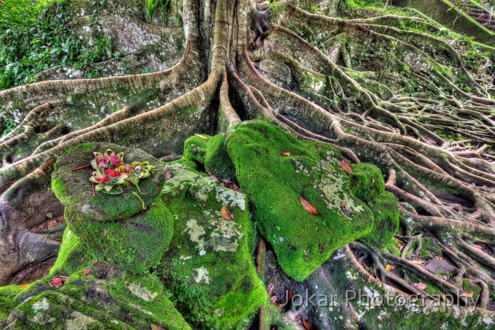 Pejeng_20100613_028_29_30_31_32_tonemapped.jpg