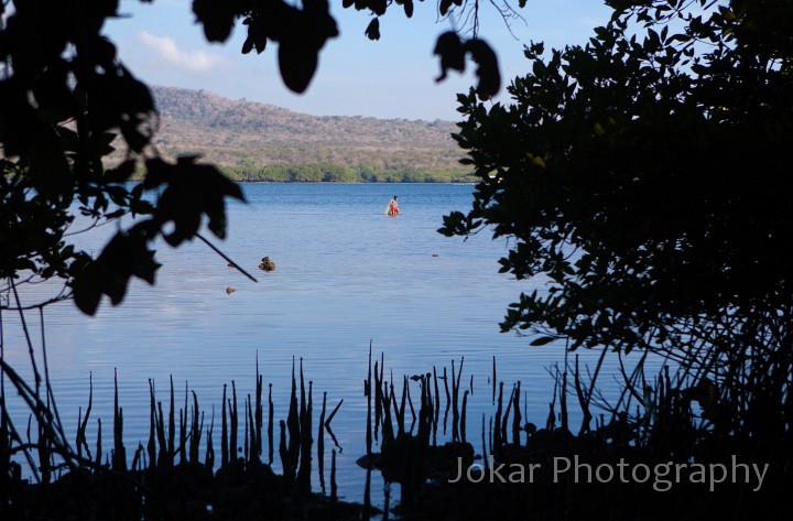 Pemuteran_20100913_083.jpg