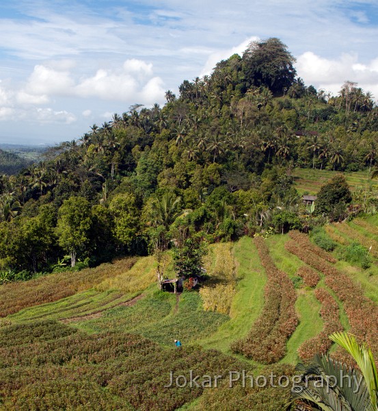 Pura_Besakih_20100925_002.jpg