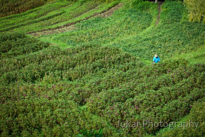 Pura_Besakih_20100925_006.jpg