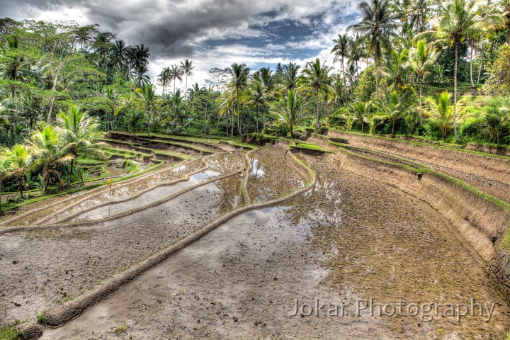 Tampaksiring_20100131_051_2_3_4_0_tonemapped.jpg