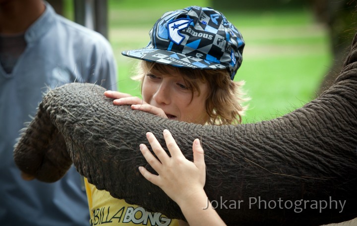 Taro_Elephant_Park_20100711_165.jpg