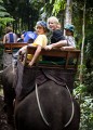 Taro_Elephant_Park_20100711_025