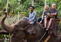 Taro_Elephant_Park_20100711_044