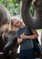 Taro_Elephant_Park_20100711_147