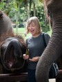 Taro_Elephant_Park_20100711_149