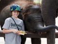 Taro_Elephant_Park_20100711_150