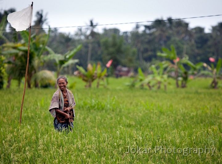 Tirta_Gangga_20100625_017.jpg