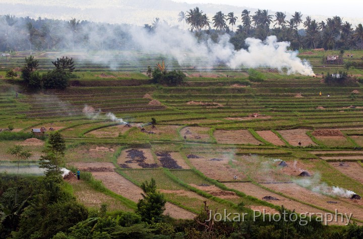 Tirta_Gangga_20100625_102.jpg