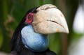 Bali_Bird_Park