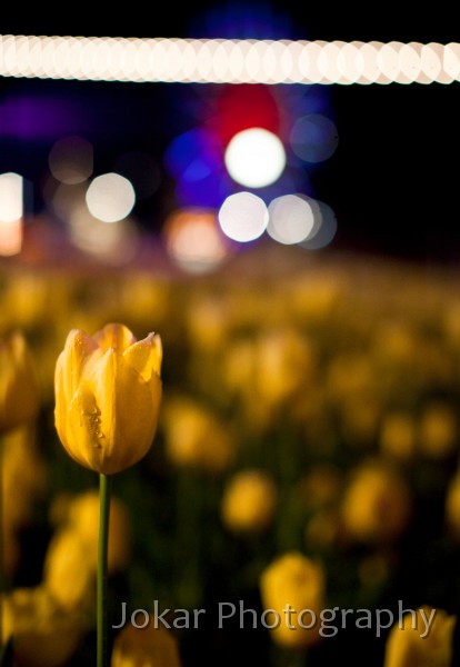 Floriade_20110928_296.jpg