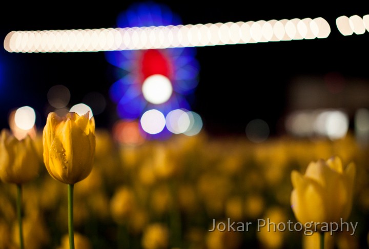 Floriade_20110928_298.jpg