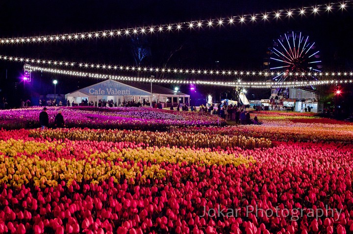 Floriade_20110928_317.jpg