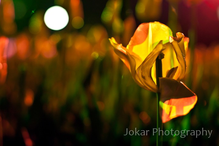 Floriade_20110928_444.jpg