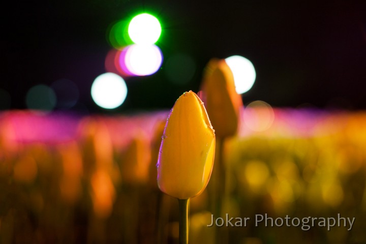 Floriade_20110928_446.jpg