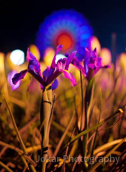 Floriade_20110928_448.jpg