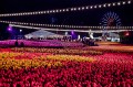 Floriade_20110928_317