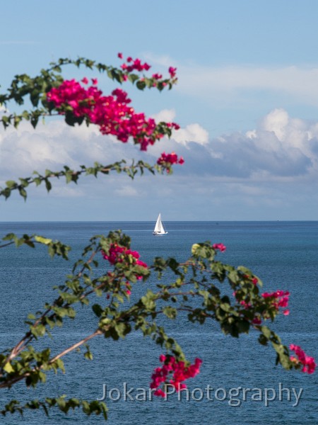 Grenada_20111113_092.jpg