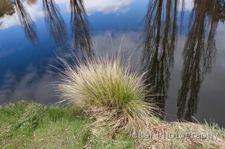 Island_Bend_20111003_215.jpg