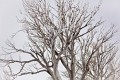 Island_Bend_20111002_108
