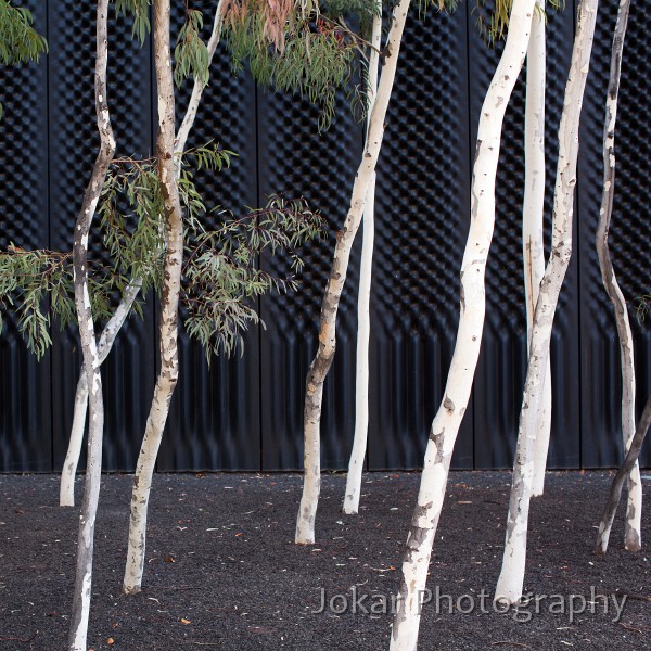 National_Museum_of_Australia_20110702_069.jpg