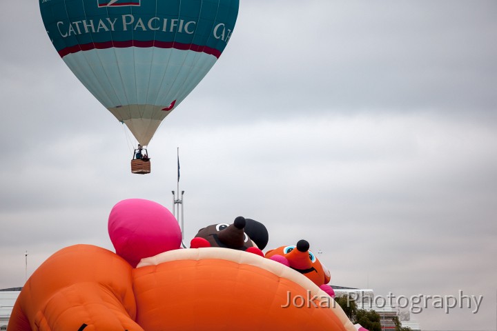 Balloons_120312_159.jpg