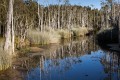 Brisbane_20120908_071