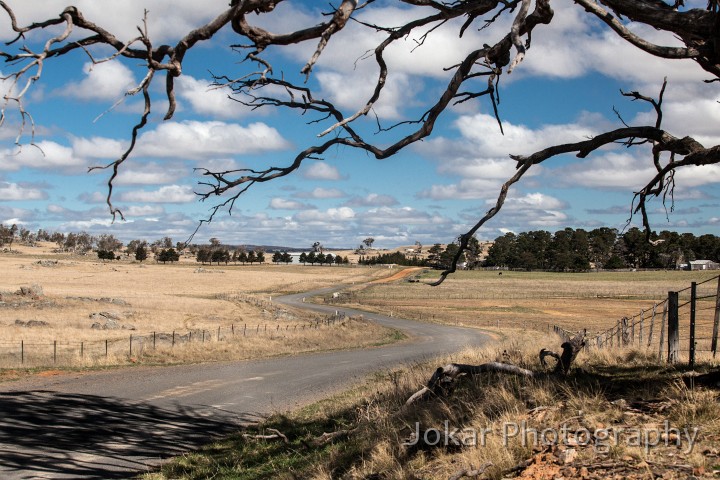 Monaro_20120922_073.jpg