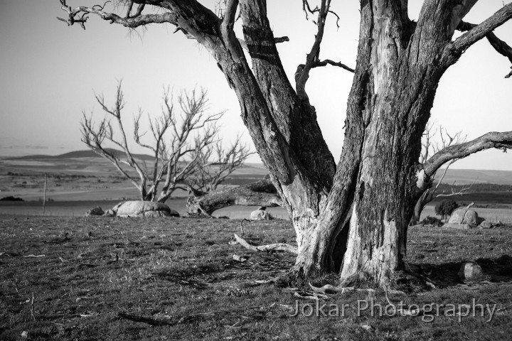 Monaro_20120922_165.jpg