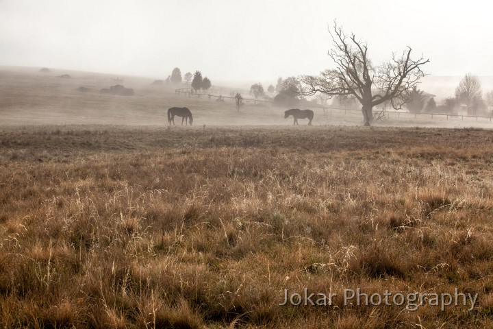 Monaro_20120923_286.jpg