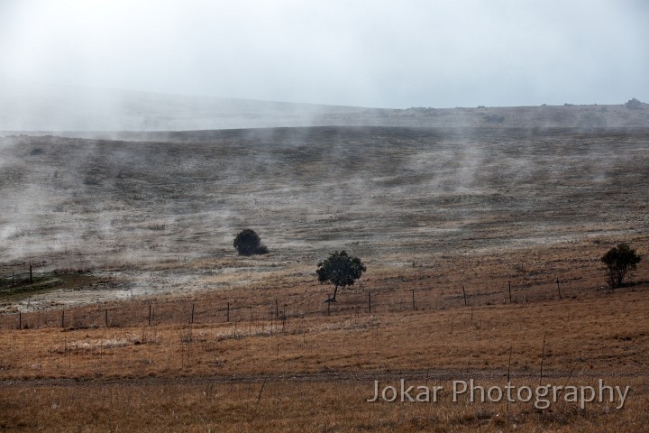 Monaro_20120923_288.jpg