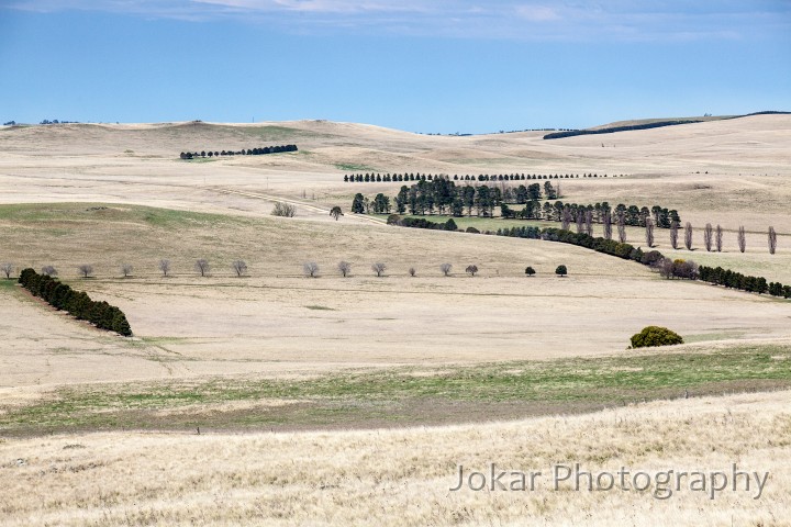 Monaro_20120923_399.jpg