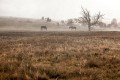 Monaro_20120923_286