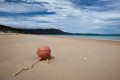 Freycinet_20120205_101