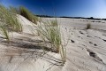 Tasmania_west_coast_20120212_144