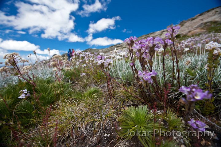 Thredbo_20120114_0019.jpg