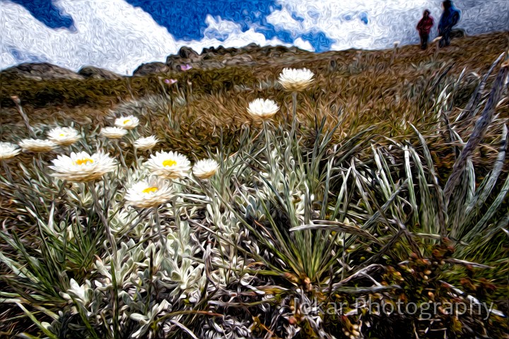 Thredbo_20120114_0026.jpg